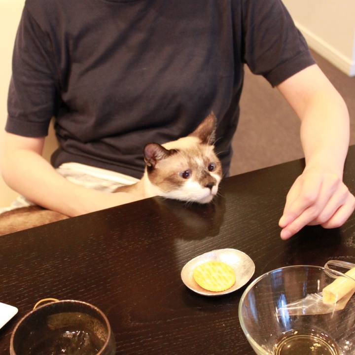 6038b7d4 307c 476c bb09 9590f9df776b