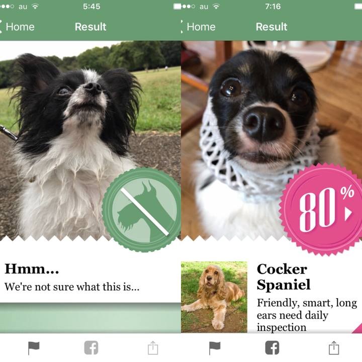 60398c1b 4a06 45f9 83fc e32bfaa268d3