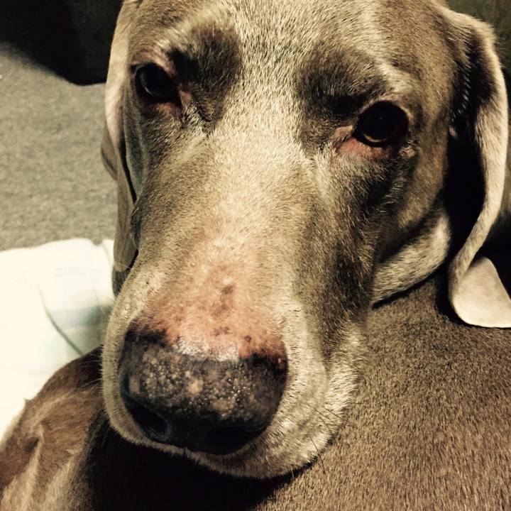 6039c7fb 74e1 4380 b7d0 cc9cb14121c8