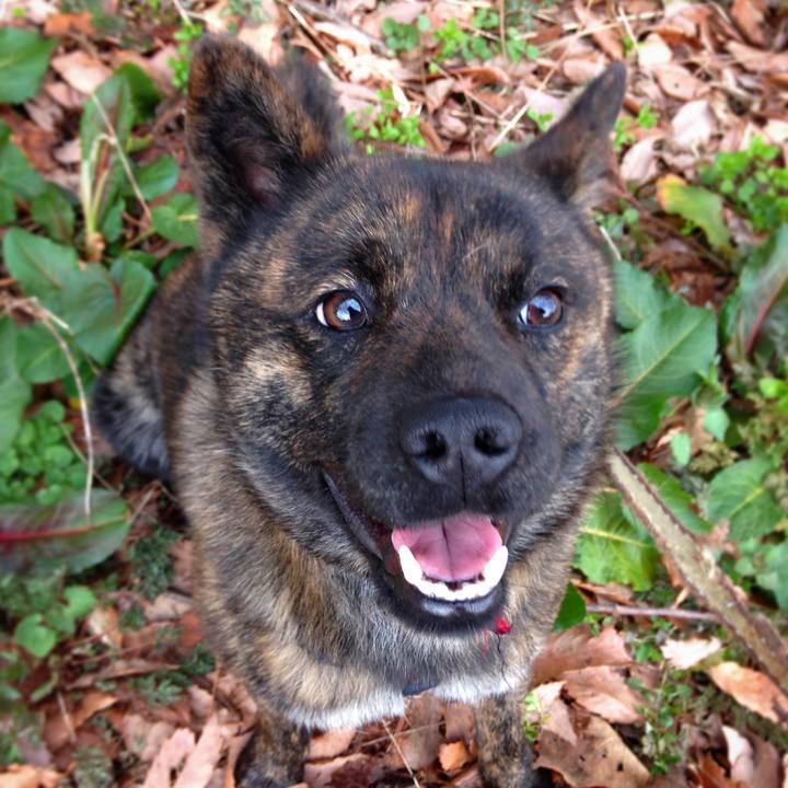 603a039c 6c89 4033 bed6 d0b3e961b9cf