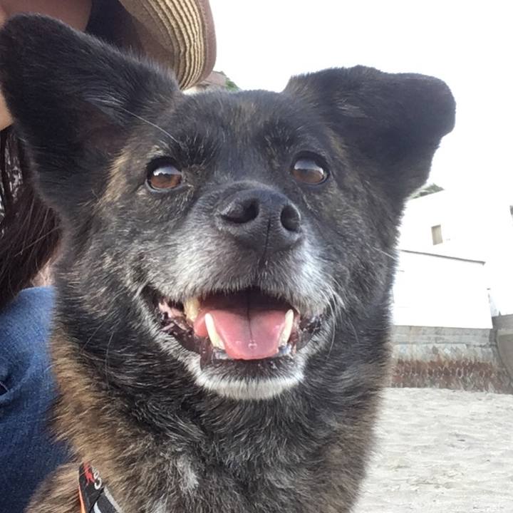 603a3021 dcb0 477d a3c6 7d780ef6da06