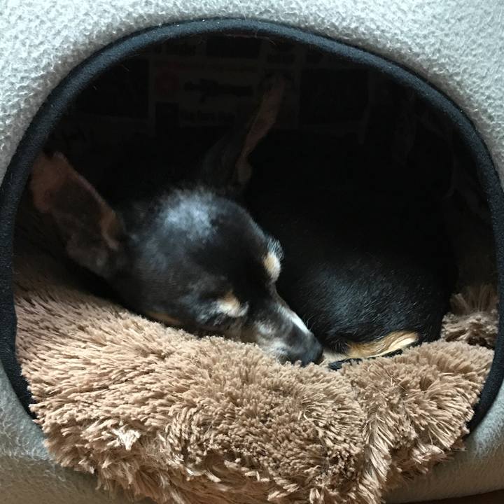 603a6426 9f47 42d2 b938 48299e049673