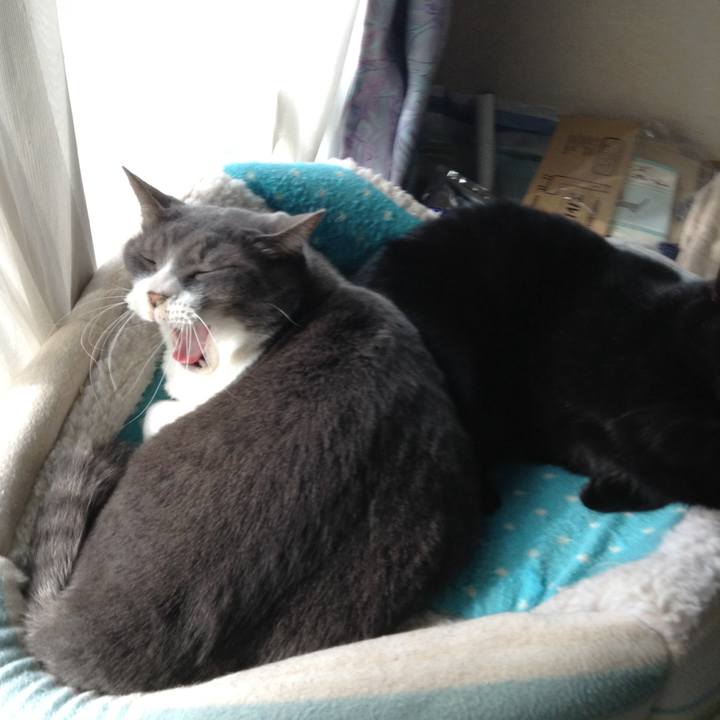 603abd25 d0d7 4c13 a779 a2200b8de0c1