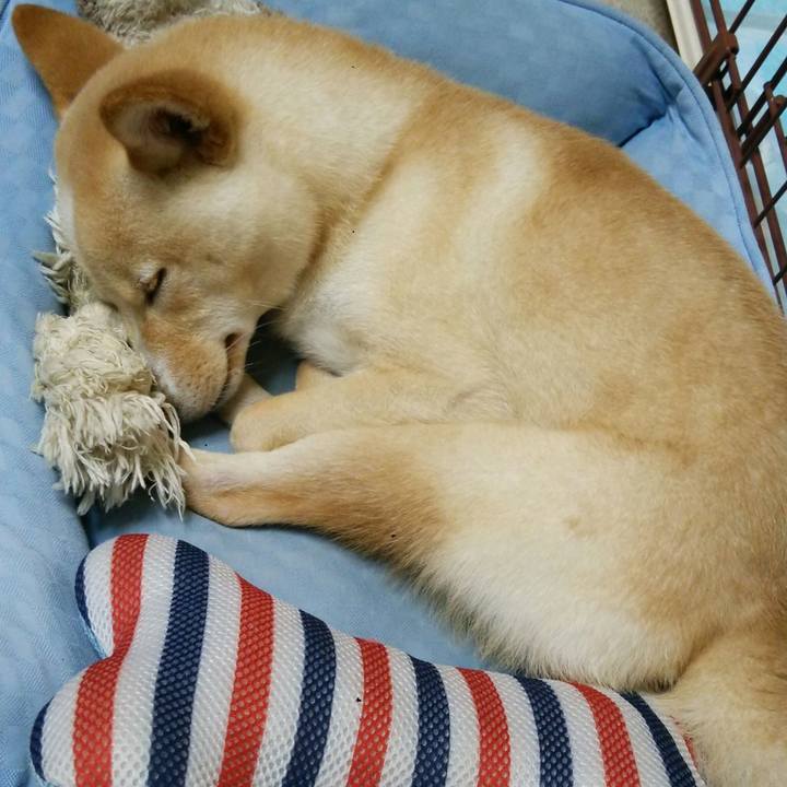 603b0bcb 90dc 4fb8 95f4 a262f582ba7f