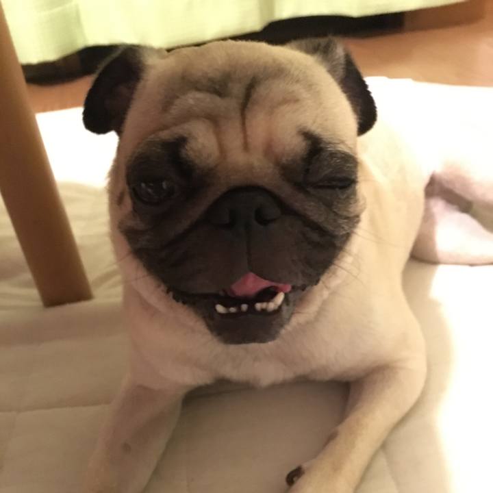 603c0eaa 0111 4dd4 86f9 6ae7bffbe1df