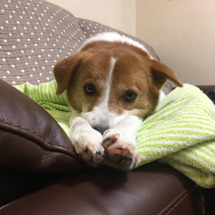 603ce3bc 4a8b 4dd9 ae23 86e21f404f7d