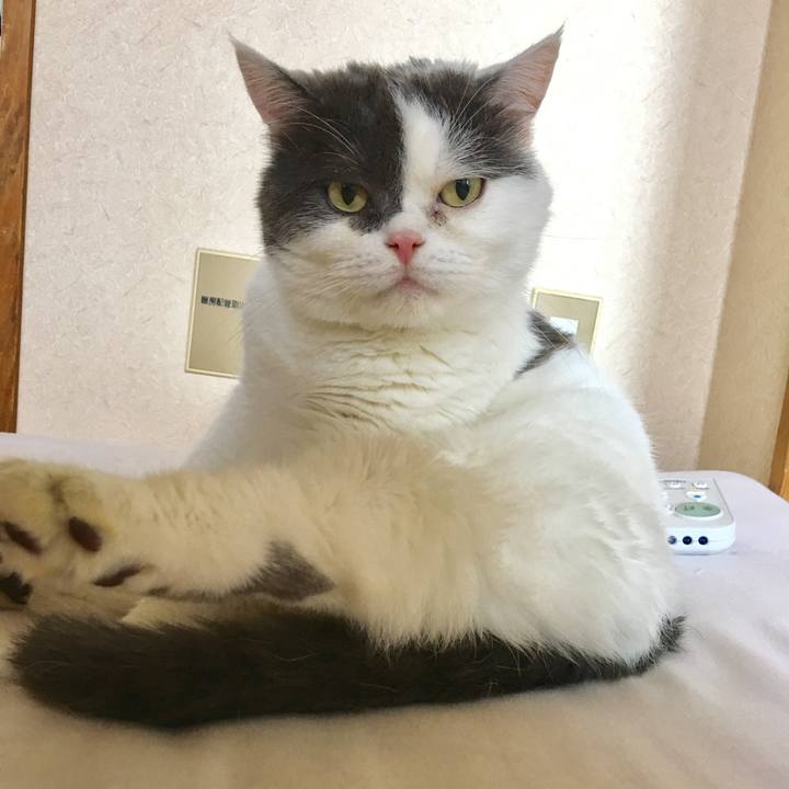 603d7b1b a082 4fe5 8b55 cc72017537f1