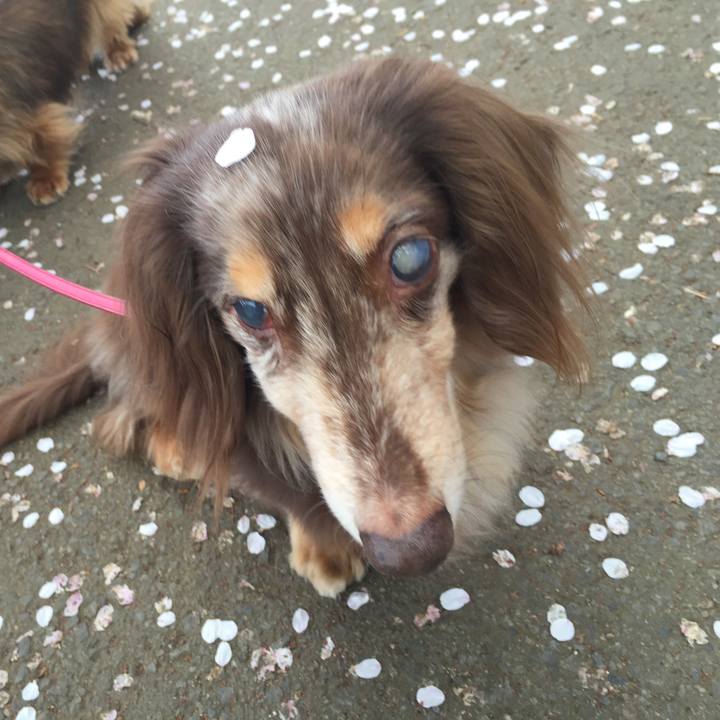 603d8642 ba98 4926 af25 48a4a30c2e91