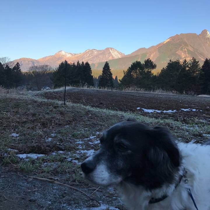 603d8804 9e5e 4097 ac6f 0cfbe68cdd3b