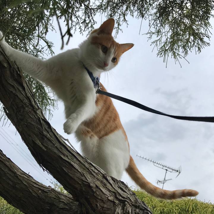 603da8de 6ecf 4dfb a36e cec0a4815c51