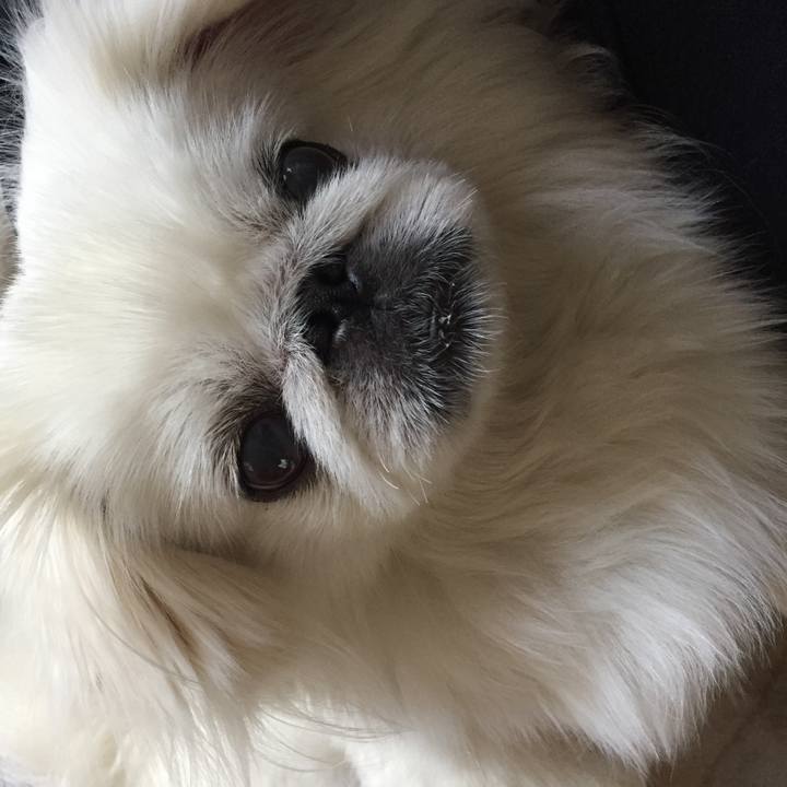 603ddf43 e1e4 4a96 b2d6 0adccf634946