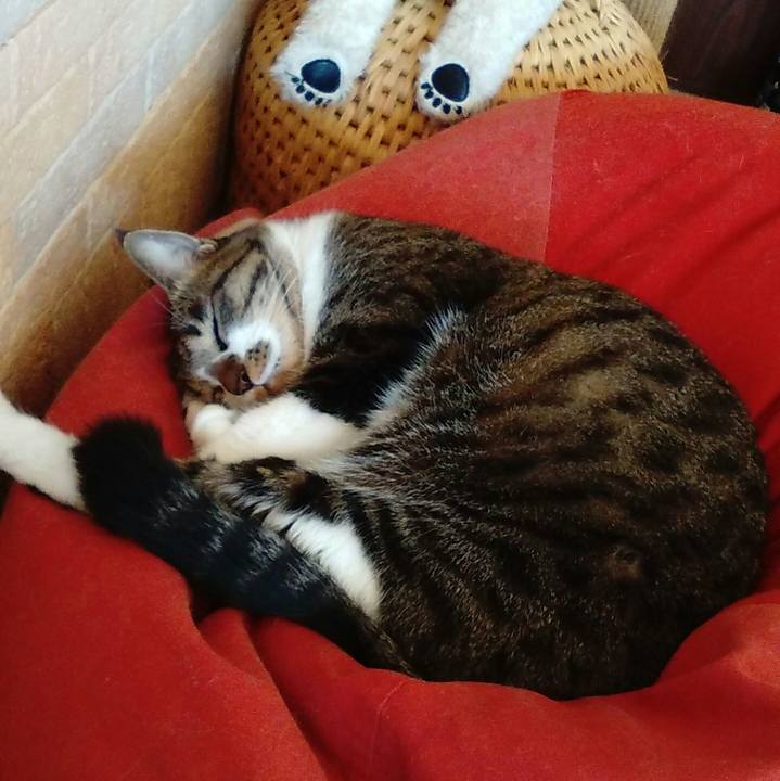 603e1940 6f5a 48cd 9f13 5df1ca92ff11