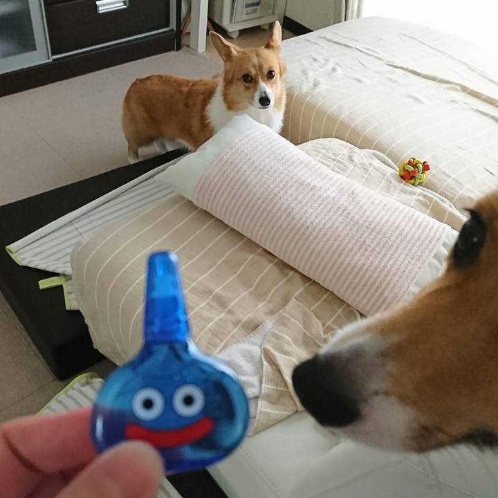 603e1e36 6f30 4e23 b001 d0c9a7253fed