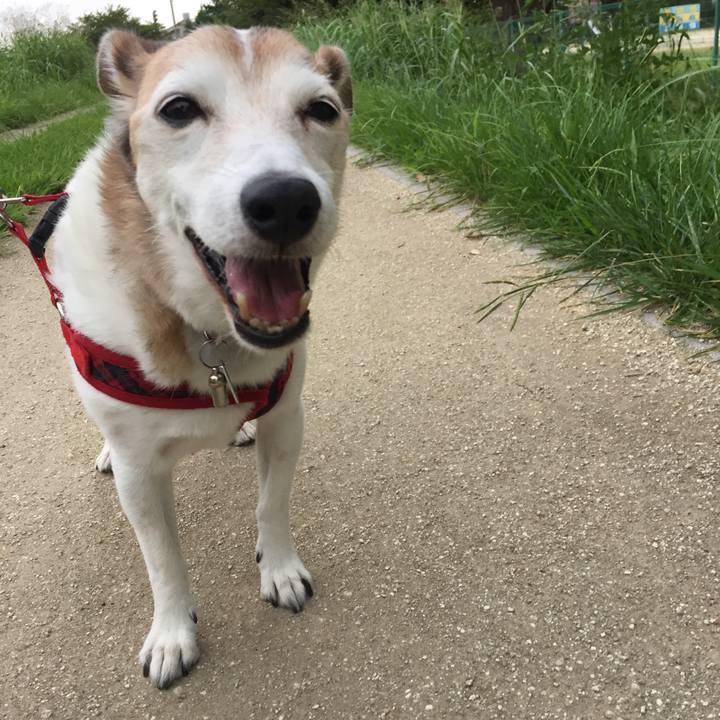 603e74d9 5fac 4b5b 870b da0cc563e8f0