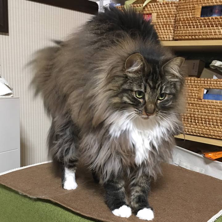 603edc1d 71e5 4b7b 9730 063efb2183be