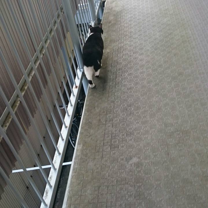 603ef374 ff3a 496d bb6d eedf6fcb1d36