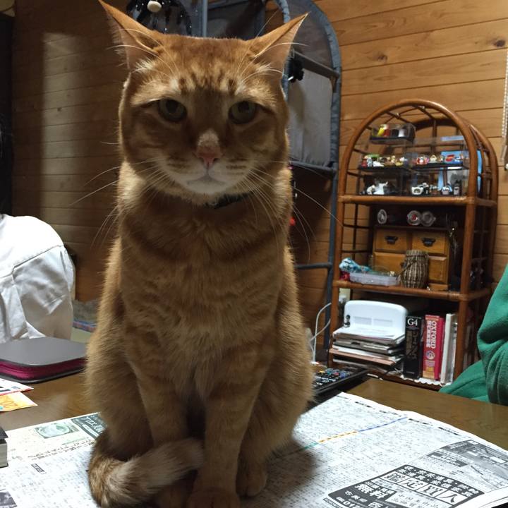 603fad5e 7529 4e98 beb3 625061c29bf1