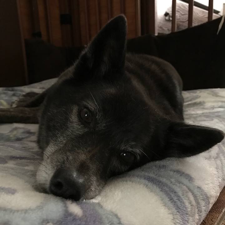 60404d0d 656f 4461 82b9 badce84c84f7