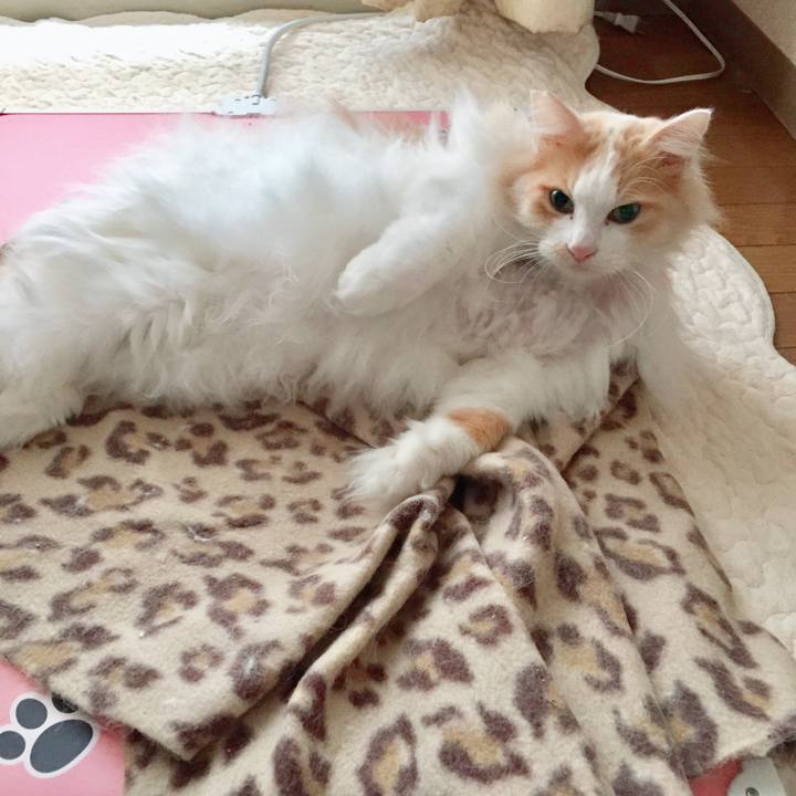 60407f08 b536 48d5 9d33 361ecc1db204