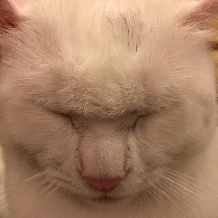 6040bddd 1ba9 4b37 bd63 09f8e507bfb0