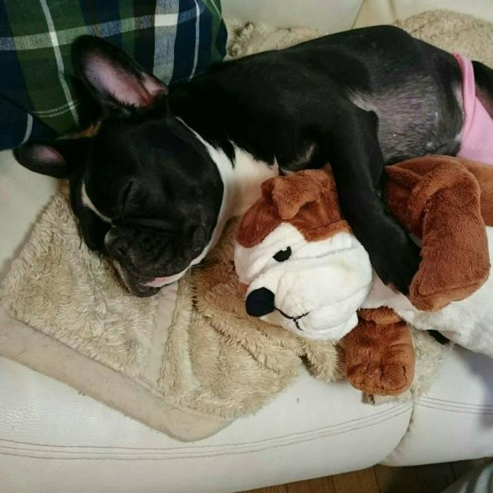 6040d537 b133 4b7d bcbd 8dafb5aca73e