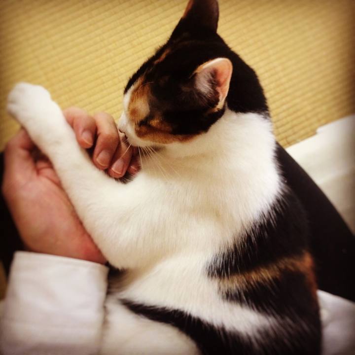 6041182c b323 4884 a0e3 e07caa9016a7