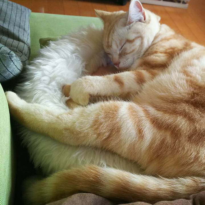 6041dfc2 a9ce 4683 ab61 78bca49e74e0