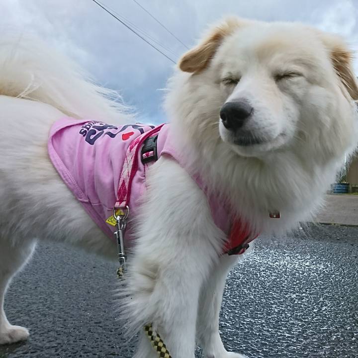 60420387 25e9 4445 a030 d1170ca48c78