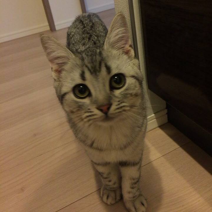 60422416 3a08 40d8 9b7e 1d74f439f0b6