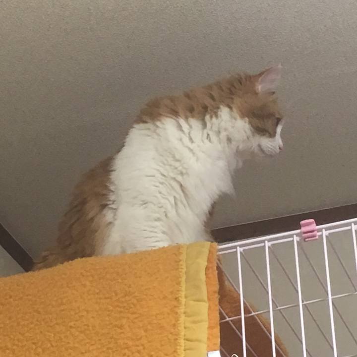 604267ae 36fe 486e 9945 928d19efbec7