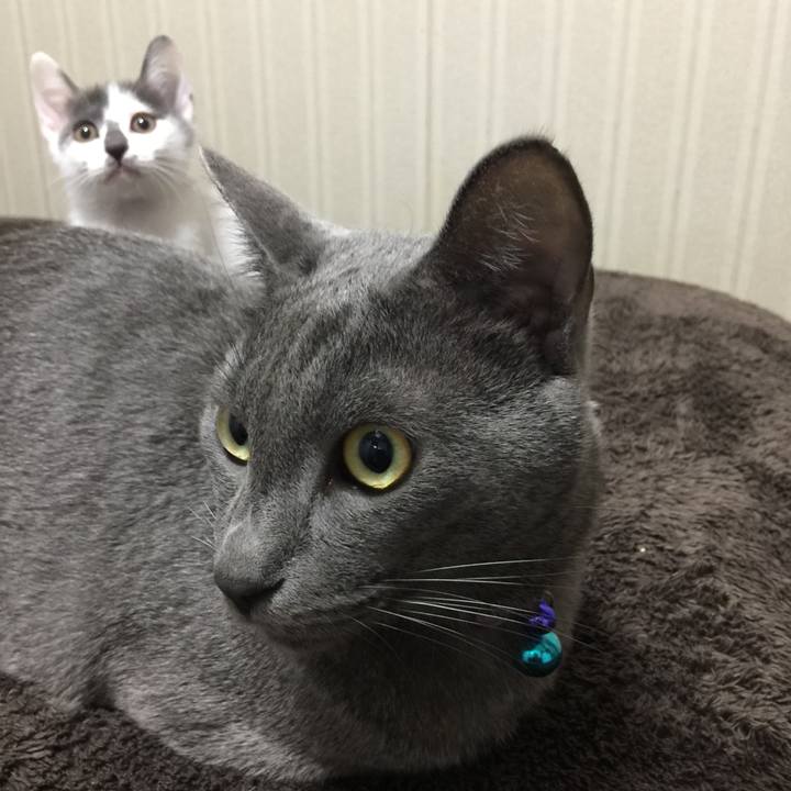 60427f10 fd2f 4eac 8721 fa2cc854a728