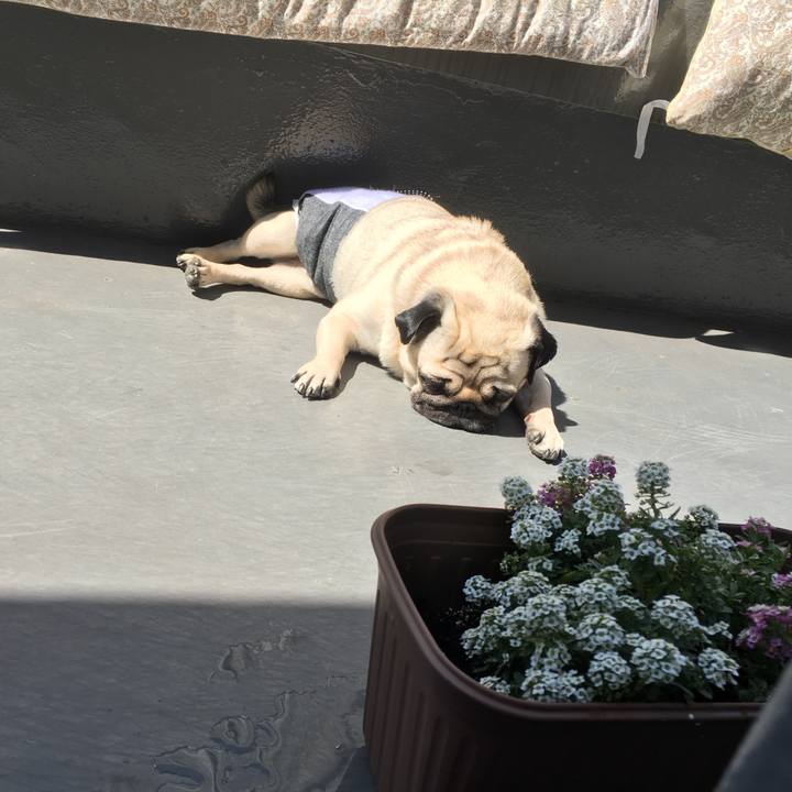 6042b1a2 9406 4845 8bbc a1852c6d57fb