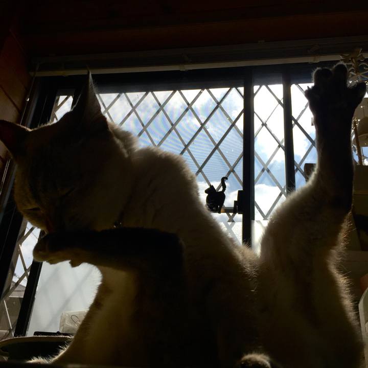 6042e2dd ede5 4020 b700 af681539fb40