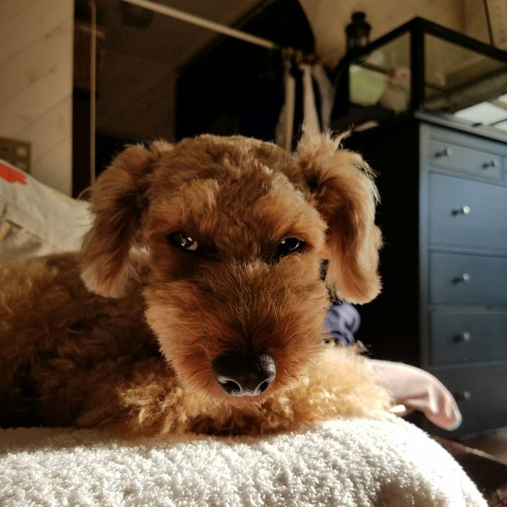 60435678 dde0 43db 9000 5088fcd2036b