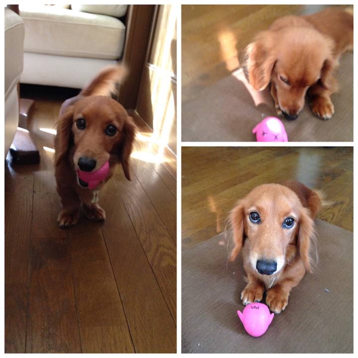 60439387 0fb8 40e7 a34d a1c1dd9035ab