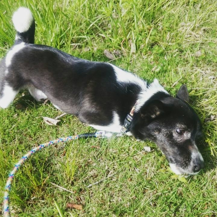 6043a961 6d99 4552 8a72 1bf401a28448