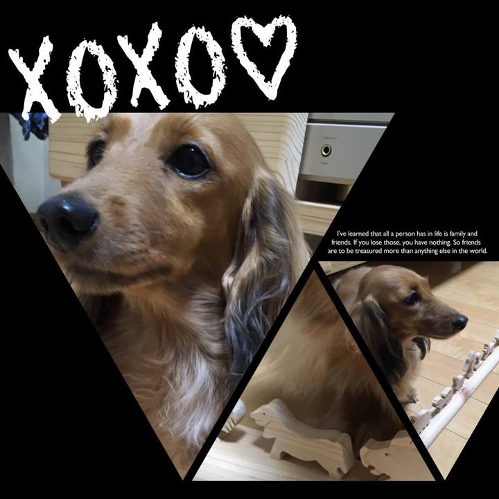 60451dd3 b67d 41f6 9d92 69ed47afd6c1