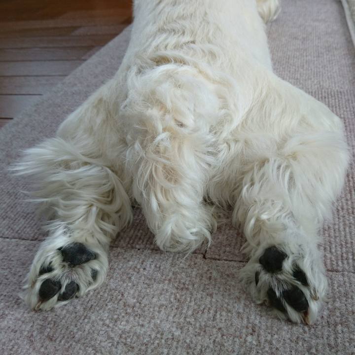 60451ef7 ee66 4582 a346 05d268c3faec