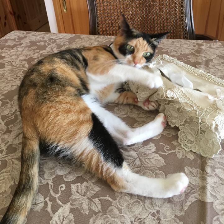 6045881d 0aa5 49dd b394 b7d398aa16d5