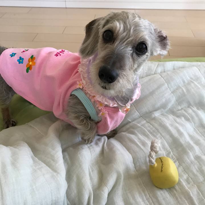 6045be67 4120 4f90 b95c d752f66b5767