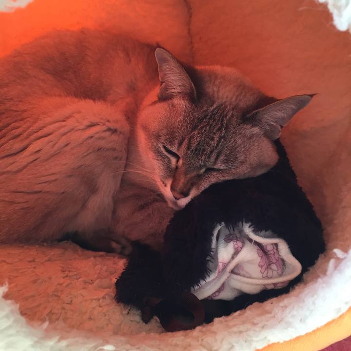 6045ed75 73c6 4d82 8205 df4754c8b5c1