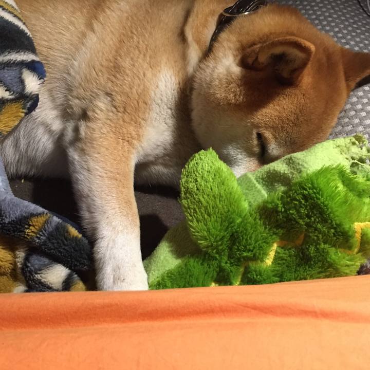 60468fad adc0 451d 8c42 6f37909e8d48