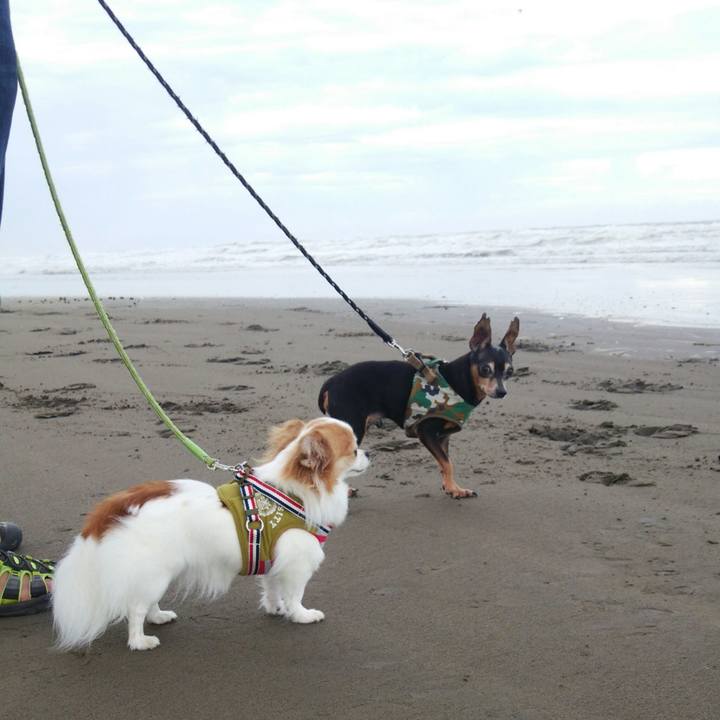 6046de12 fdec 414c 95d6 91a90895bcc4