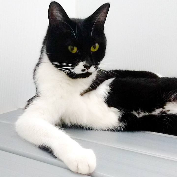 6046f7df 0e51 4755 8a37 046c187bd356