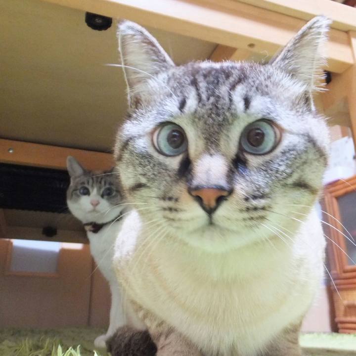 6047166a bd90 4e4f 9cc4 0b95e4f7596e