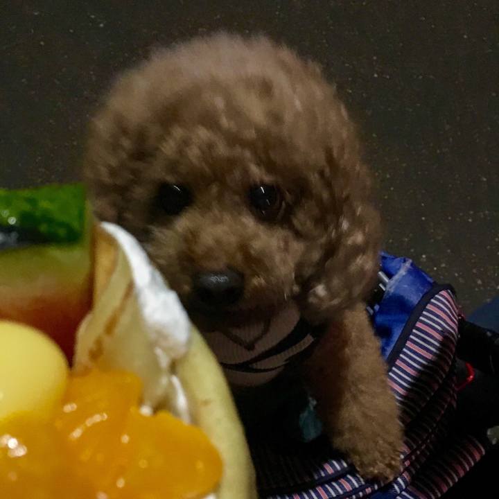 604764b3 7b38 4ee7 97e1 2fe85647f8e8