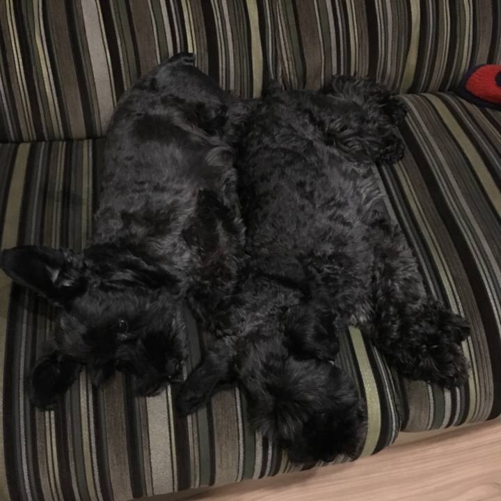 60481e74 8a65 4a32 abfd 19b2aeac3867