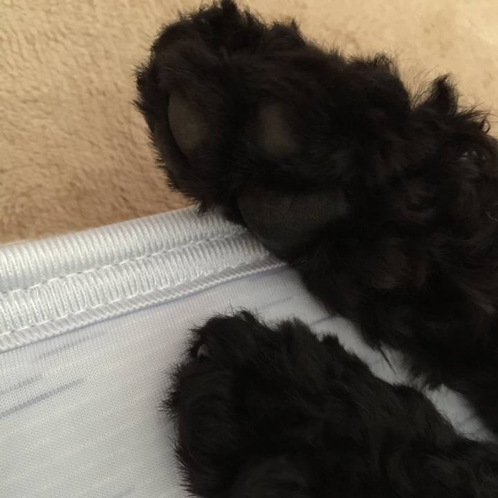 6048a89a fc8b 47c9 bab4 a8eb3cc9148b