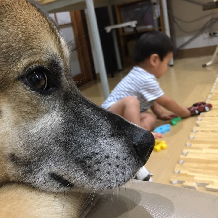 6049bade 3387 4afd 92f2 217e7b823217