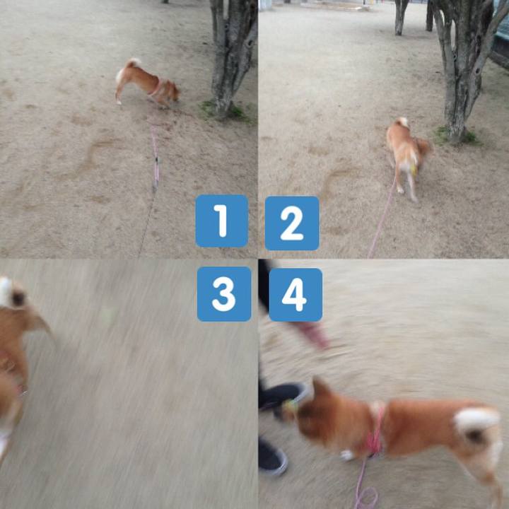 604a0a0e d324 44aa 9618 15780515ed17